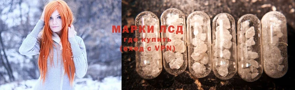 прущие грибы Белокуриха