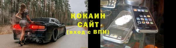 прущие грибы Белокуриха