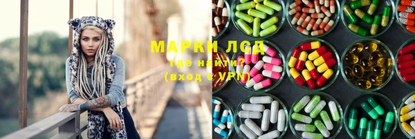 прущие грибы Белокуриха
