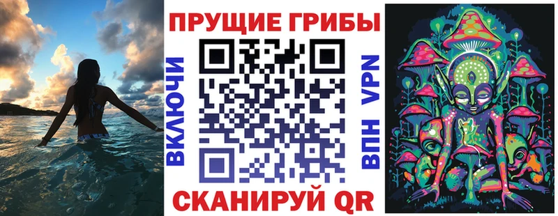 Галлюциногенные грибы ЛСД  Черногорск 